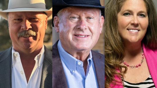 Unofficial Primary Election Results Are In