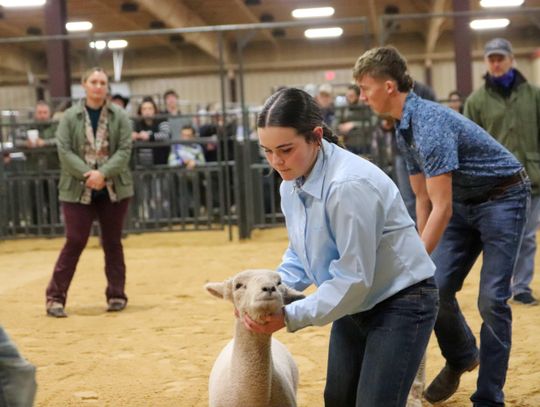 2026 Llano County Junior Livestock Show and Art, Craft, & Food Show and BBQ Lunch