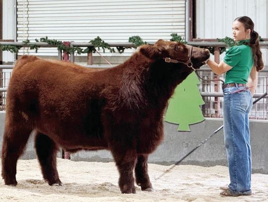 Blanco FFA Holds 28th Annual Chapter Show