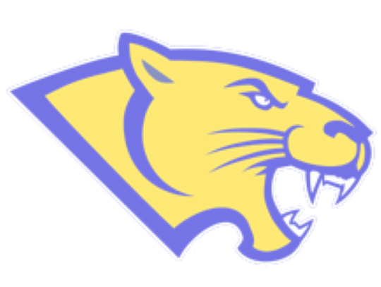 Blanco to remain Class 3A in 2026-2028 UIL cycle