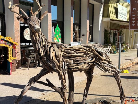 Driftwood Deer Debuts Downtown, Previewing LEAF’s 2026 Return