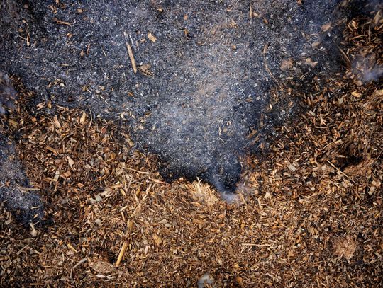 Dry conditions and increased vegetation set stage for higher wildfire risk in Texas