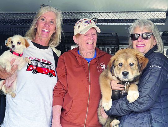 ‘Emma Express’ helps save lives through animal rescue