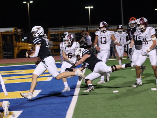 Jackets Have Plenty to Celebrate Thanks To Playoff Win