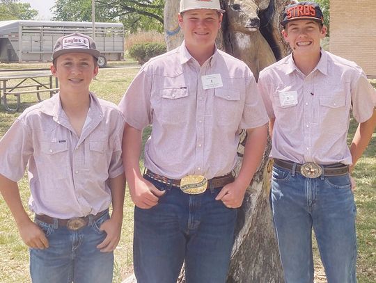 Johnson City FFA wildlife team excels