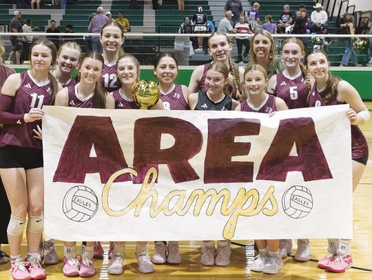 Johnson City’s championship defense ends with loss to Schulenburg