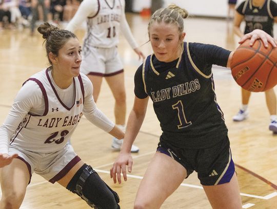 Lady Eagles compete in home classic, fall to San Saba