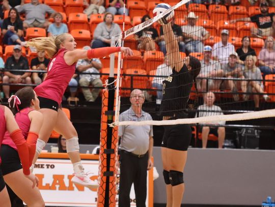 Lady Jackets Show the True Meaning of Home Court Advantage