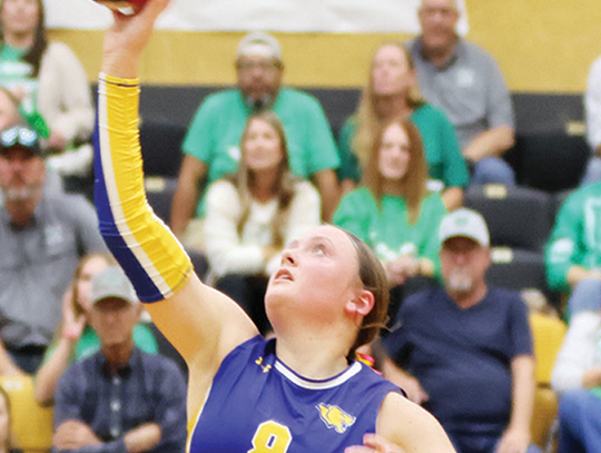 Lady Panthers’ season ends with playoff loss to Wall