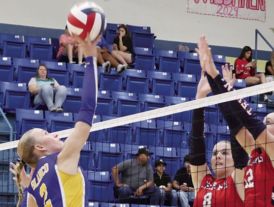 Lady Panthers Take on Ranked Wimberley Team
