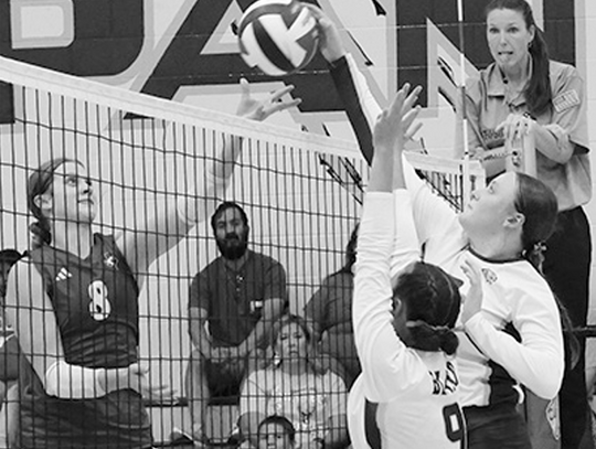 Lady Panthers Top Llano, Fall to Comfort