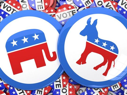 Llano County Primary Set: Key Positions Contested