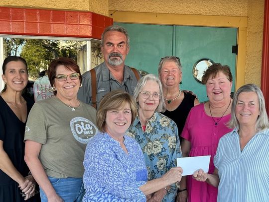 Mason Chamber Music Festival Receives Community Foundation Grant