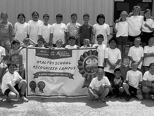 Mason ISD Elementary and Junior High Receive Healthy School Campus Recognitions