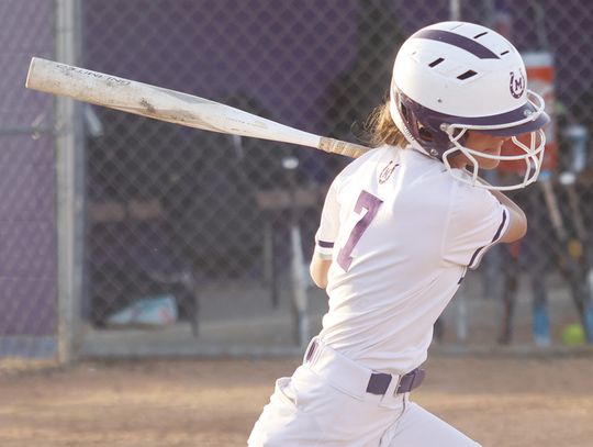 Mason Softball Begins Search for a New Coach