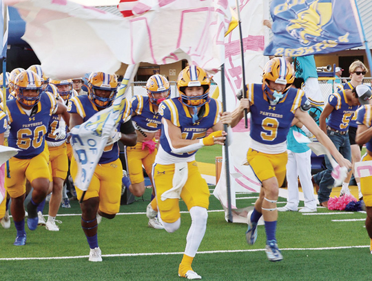 Panthers Defeat Rogers in District Opener