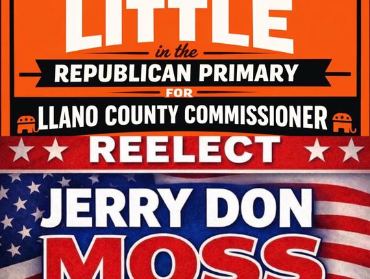 Precinct 4 County Commissioner: Candidate Profiles