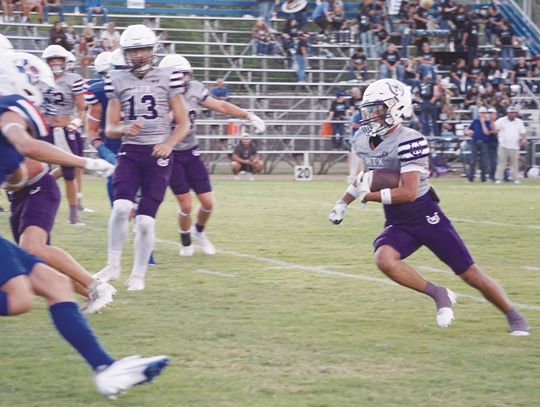 Punchers Cage Bluecats for First Win