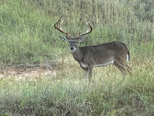 Texas Master Naturalists March Meeting