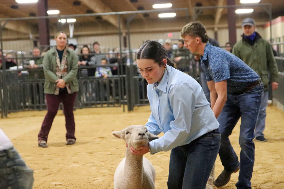 2026 Llano County Junior Livestock Show and Art, Craft, & Food Show and BBQ Lunch