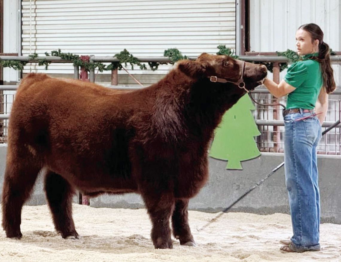 Blanco FFA Holds 28th Annual Chapter Show