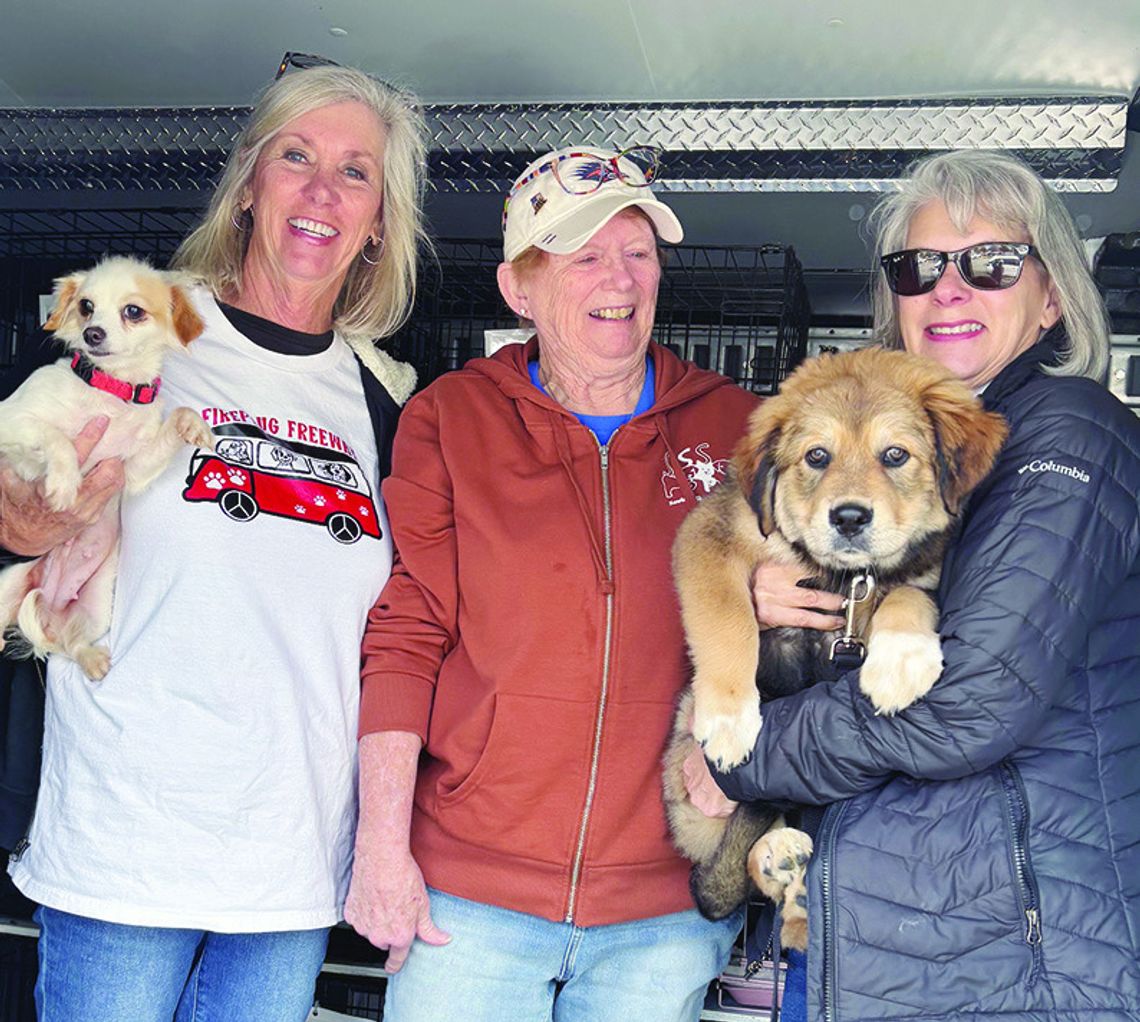 ‘Emma Express’ helps save lives through animal rescue
