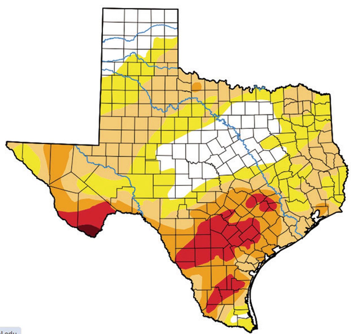 Fire Marshal Says Blanco County Fires May Have Been Intentionally Set