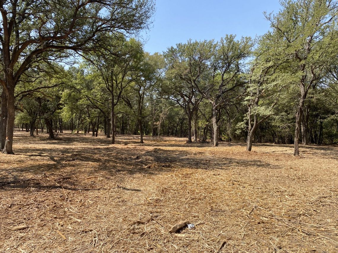 Funding Available for Wildfire Mitigation Practices in Central Texas