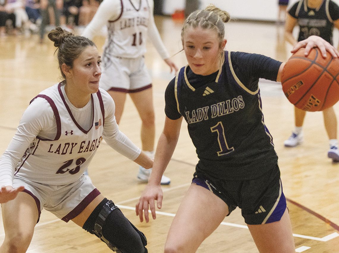 Lady Eagles compete in home classic, fall to San Saba
