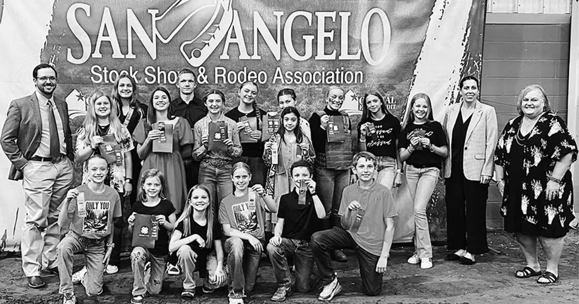 Mason 4-H Youth Rustle Up Wins at District 7 4-H Round-up