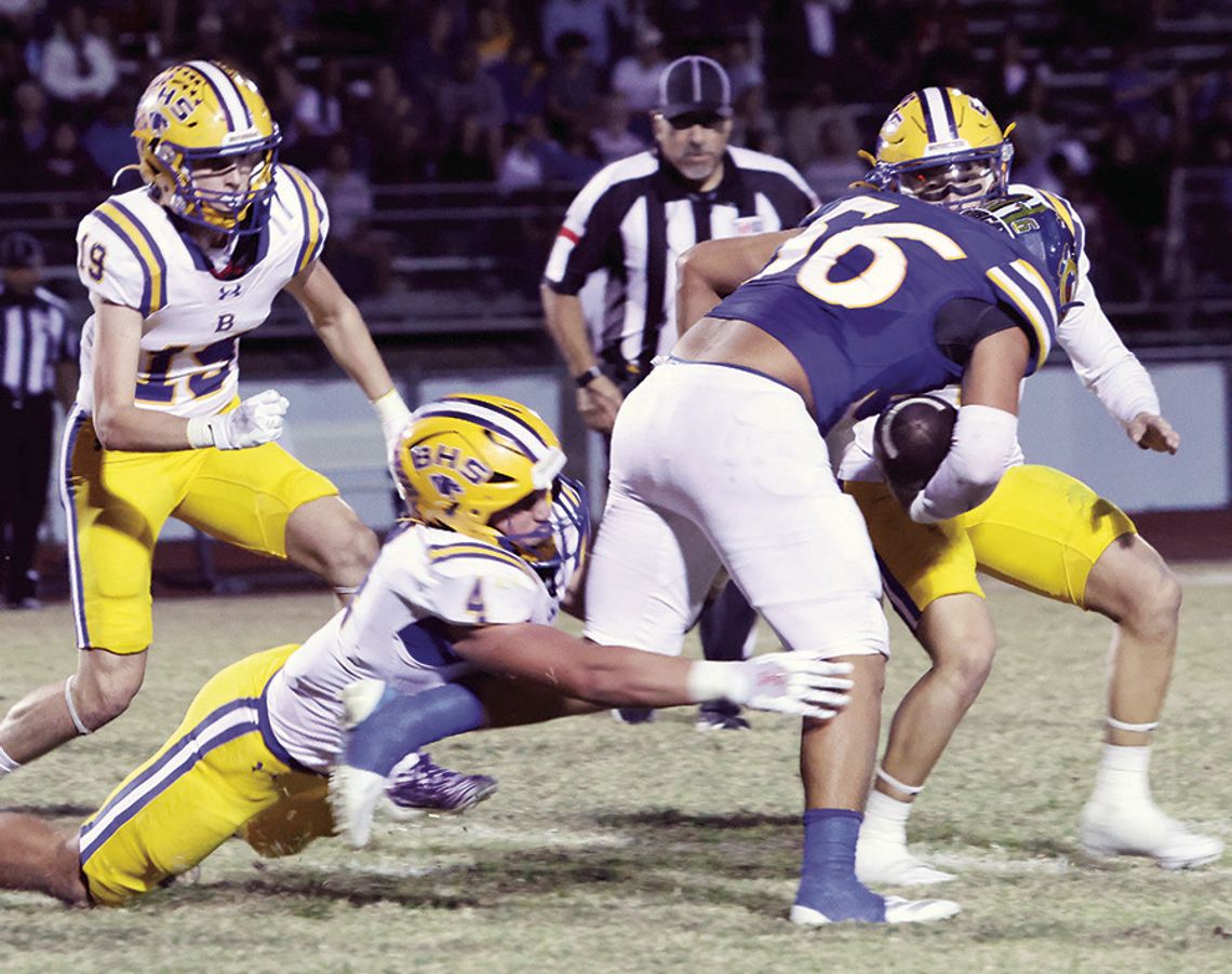 Panthers defeat Bobcats to clinch district title