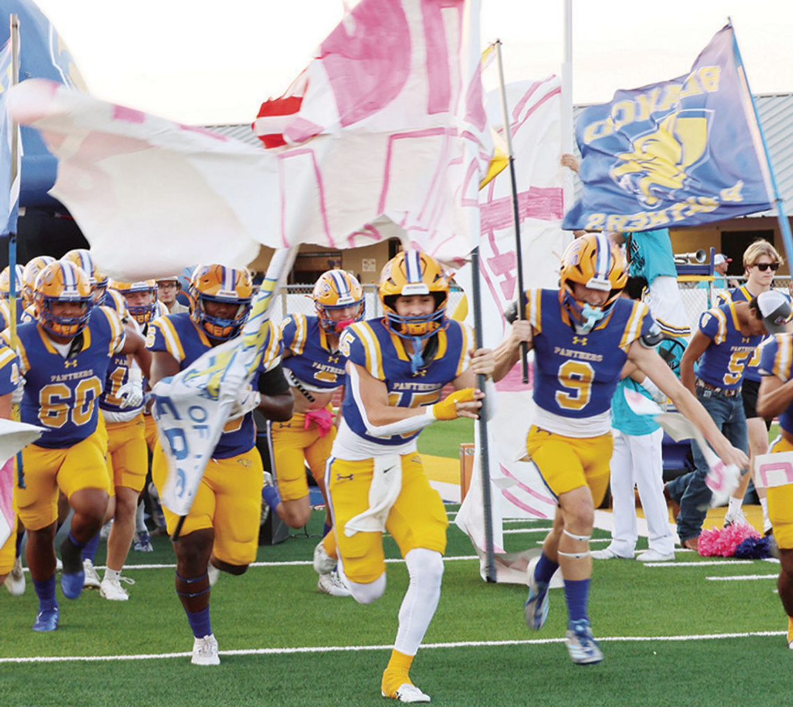 Panthers Defeat Rogers in District Opener