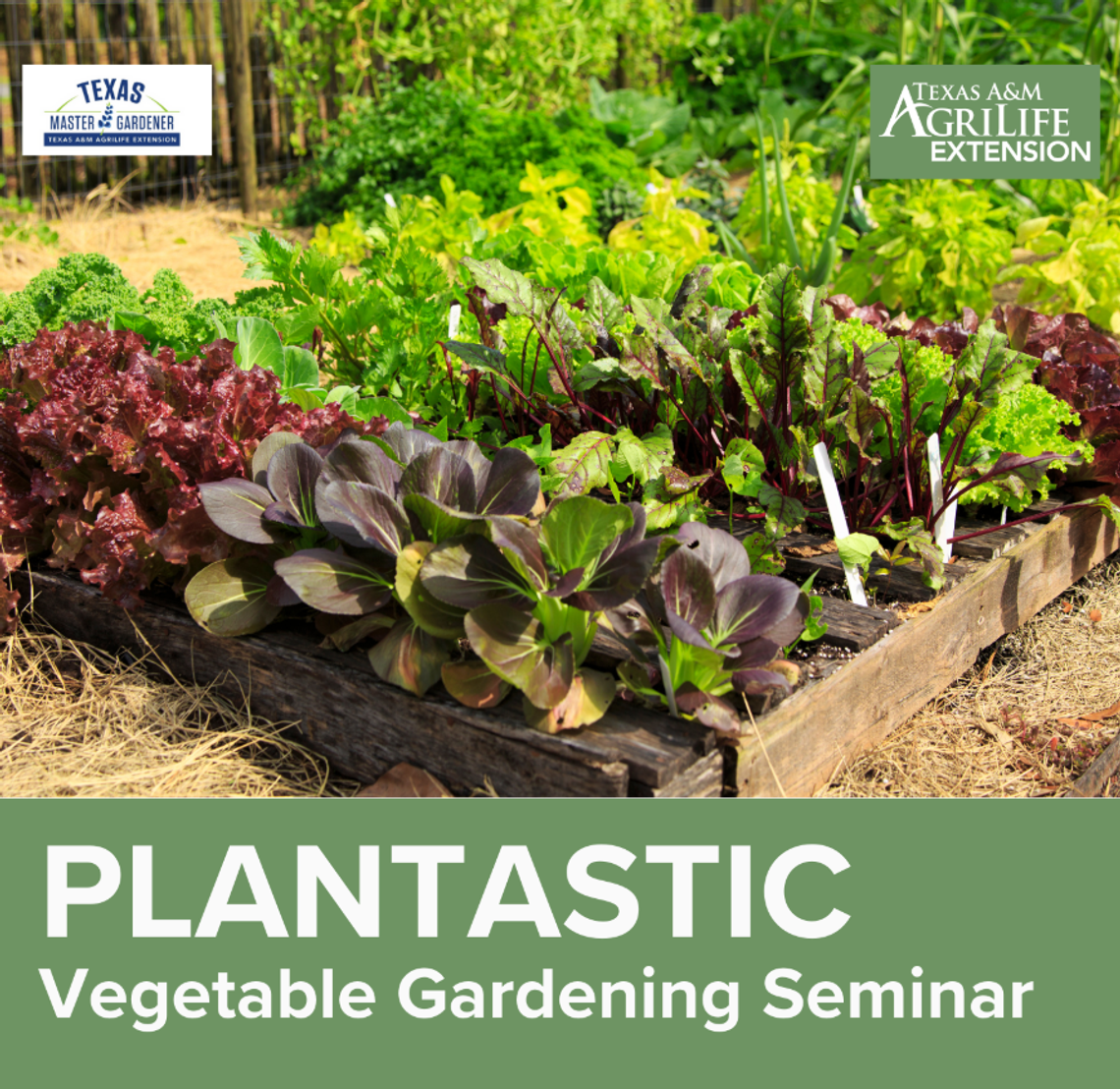 Plantastic vegetable gardening seminar scheduled for Feb. 27