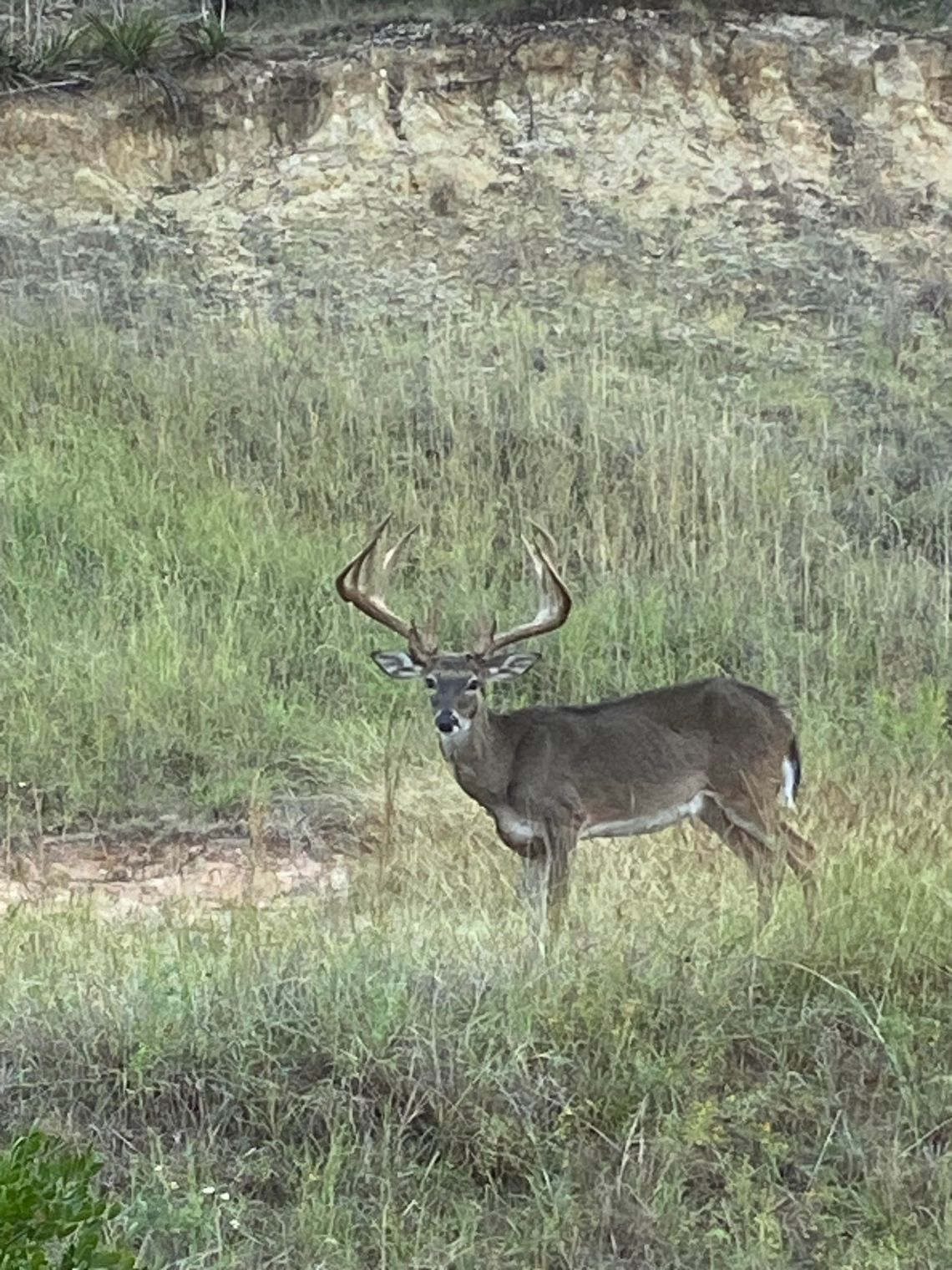 Texas Master Naturalists March Meeting Texas Master Naturalists March Meeting